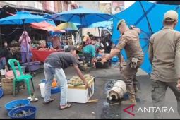 Satpol PP Padangsidimpuan tertibkan PKL  kawasan Thamrin