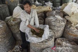 Produksi pakan ternak fermentasi