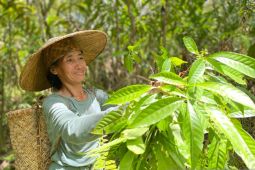 Perempuan penjaga harmonisasi alam dari Suku Dayak Iban
