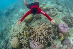 DPRD Jakarta sarankan Kepulauan Seribu jadi destinasi wisata