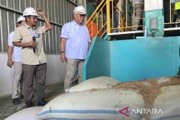 Bulog sebut Program Jemput Gabah tetap ada meski kurang diminati petani