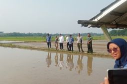 Kementan jamin kesejahteraan petani lalui program pompanisasi