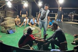 Polres Simalungun gerebek lokasi sambung ayam, ini dia pelakunya