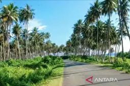 DKP Simeulue ajukan izin pengelolaan kelapa di pulau terluar ke KKP