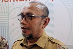 Pemprov: 30.442 hektare rawa di Sumut diubah jadi sawah pada  2024