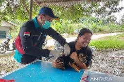 Edukasi dini solusi jangka panjang tangani rabies