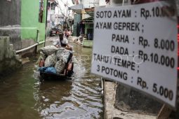 Perubahan iklim bebani penduduk miskin di pesisir Jakarta