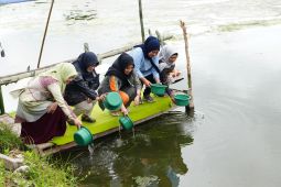 Produksi udang Sulsel triwulan I mencapai 15.273 ton