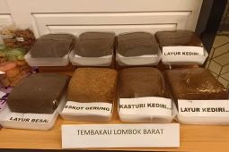 BRIN berhasil ciptakan 12 varietas unggul baru tanaman perkebunan