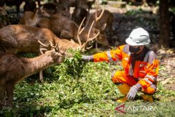SIG mendukung pelestarian lingkungan melalui Hutan Kota SBI Cilacap