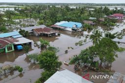 BNPB: 836 rumah di Merauke rusak setelah dilanda banjir