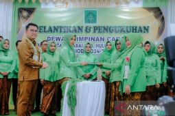 Hulu Sungai Tengah miliki 65 ahli rias pengantin berkearifan lokal