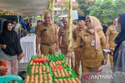 Pemprov Babel: Distributor tambah stok telur ayam 27,5 ton