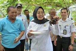 Pemkot Jambi kembangkan destinasi kampung wisata