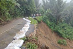 Jalan provinsi dan negara di Rejang Lebong terkena longsor