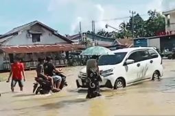 3.421 warga Kabupaten Landak mengungsi karena banjir