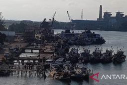 Harga ikan segar di Pangkalpinang turun