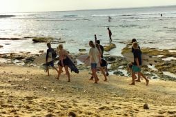 Akses internet dinikmati warga di daerah 3T Pesisir Barat