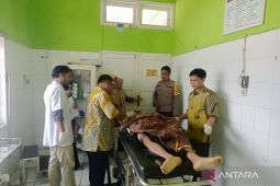 Seorang pengendara motor meninggal akibat kecelakaan di Mukomuko