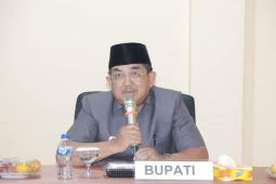 Bupati Tanjabbar buka Wokshop GENEREAKSI