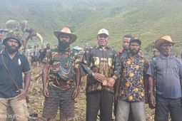 Menanam pangan lokal upaya penurunan stunting di Puncak Jaya