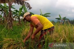 UI: Ekonomi nasional perlu harus bergeser berbasis pengetahuan