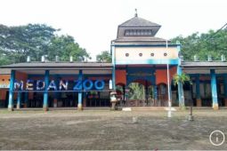 Wali Kota Medan targetkan investasi Medan Zoo dimulai Juni