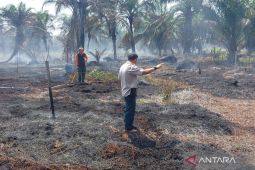 BPBD Mukomuko imbau warga hati-hati saat musim panas