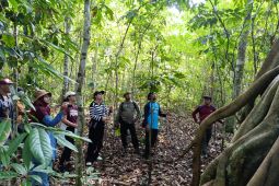 Unej gandeng mahasiswa Filipina kuatkan pemasaran ekowisata TNMB