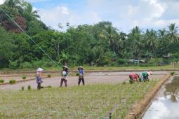 Lima kecamatan di Tabalong terima bantuan pompanisasi