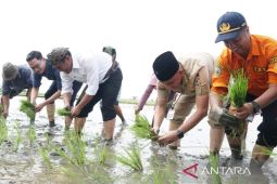 Pemkab Bangkalan perkuat ekonomi pertanian melalui KWT