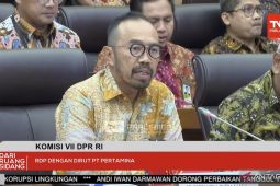 Pertamina wajibkan pembelian LPG 3 kg pakai KTP per 1 Juni 2024