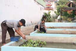 Lapas Kelas I Madiun fasilitasi warga binaan budidaya ikan lele