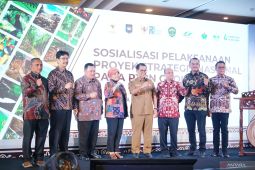 Relaksasi pajak untuk PTPN akan pacu PSN dan percepat hilirisasi