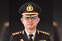 Amankan 119 tersangka, Polda Maluku ungkap 98 kasus narkoba sampai Mei 2024