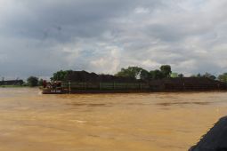 Pemprov Jambi buka lalu lintas batu bara jalur sungai