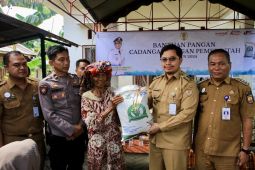 Pemkab HST raih penghargaan pola pangan harapan dari Bapanas