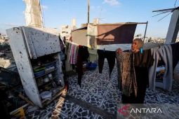 Palestine's fate at the un hinges on security council's approval: MOFA