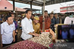 Presiden soal Putusan MA terkait batas usia: Tanya yang menggugat