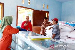 Situbondo dapat tambahan alokasi pupuk urea subsidi 12.435 ton