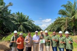 Foto - Kanwil BPN Kalsel survei lapang lepas sebagian HGU PT. SAM