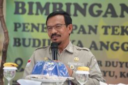 Palu cocok untuk pengembangan budidaya anggur