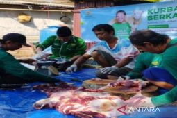Baznas Kalsel pastikan penyaluran daging kurban tepat sasaran