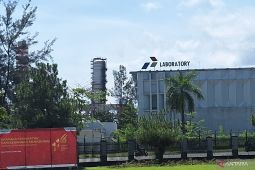 Pertamina  diminta tanggung jawab atas rusaknya bakau akibat minyak