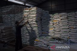 Pengadaan beras Bulog