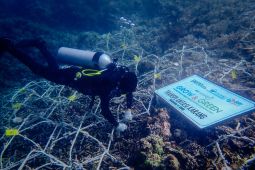 BRI komitmen jaga ekosistem laut dengan bantu Pokdarwis Ujung Bulo