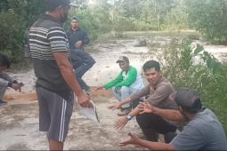 Penyelidikan korupsi Desa Sejahtera hampir dua tahun belum ada kejelasan