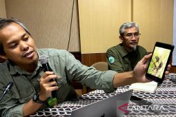 TNGGP minta maaf soal video macan tutul dan macan kumbang