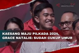 Kaesang maju Pilkada 2024, Grace Natalie: sudah cukup umur
