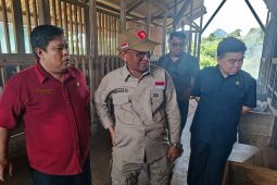 Pemprov Kalbar tingkatkan produksi kambing melalui instalasi pembibitan